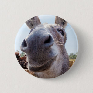 Smiling Donkey 6 Cm Round Badge