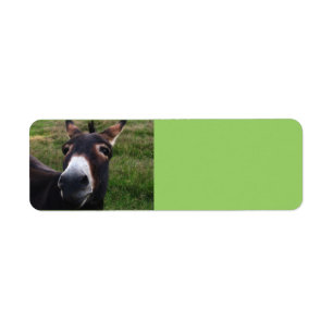 Smiling Donkey Avery Label Return Address Label