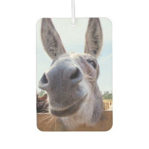 Smiling Donkey Car Air Freshener