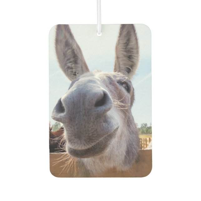 Smiling Donkey Car Air Freshener (Front)