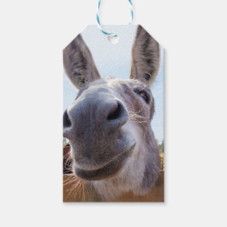 Smiling Donkey Gift Tag