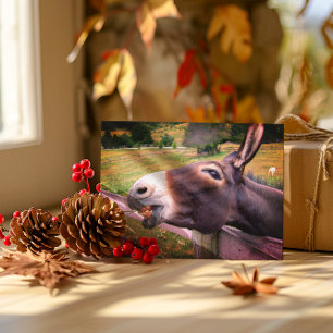 Smiling Donkey in a pasture Postcard