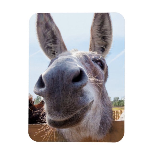 Smiling Donkey Magnet (Vertical)