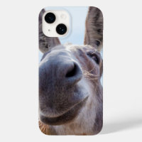Smiling Donkey with Silly Grin