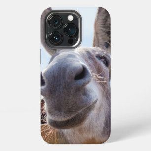 Smiling Donkey with Silly Grin iPhone 13 Pro Case