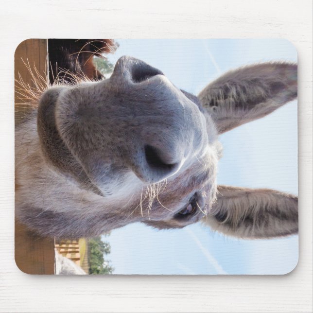 Smiling Donkey with Silly Grin Mouse Pad (Front)