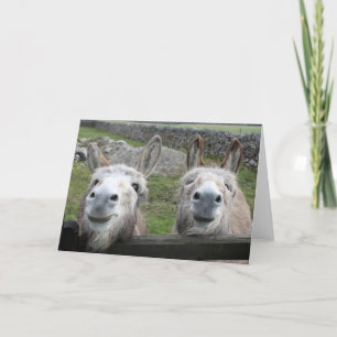 Smiling Donkeys! Card