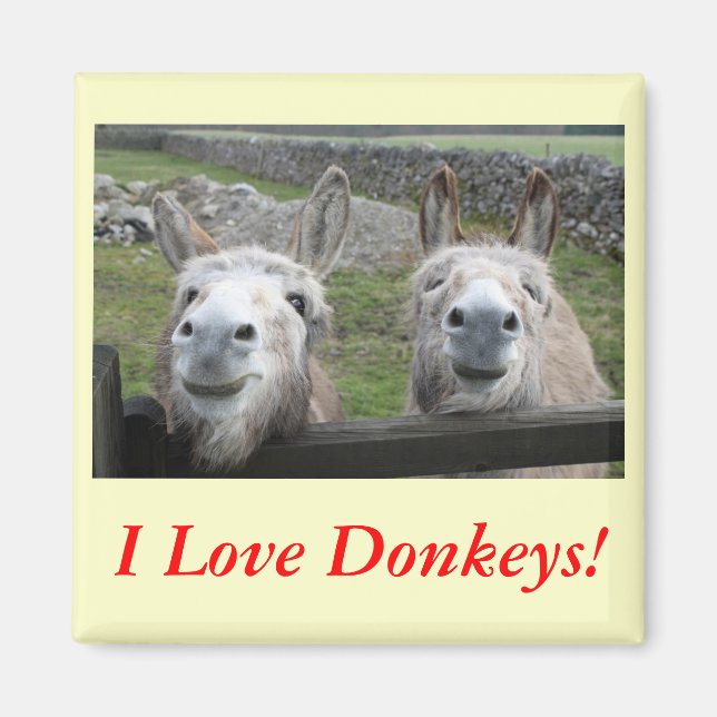 Smiling Donkeys! Magnet (Front)