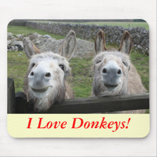Smiling Donkeys! Mouse Pad