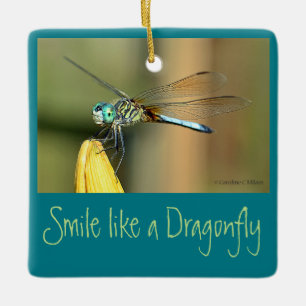 Smiling Dragonfly Ceramic Tree Decoration