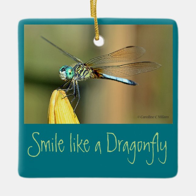 Smiling Dragonfly Ceramic Tree Decoration (Front)