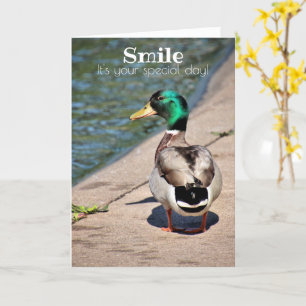Smiling Duck Birthday Greetings Card