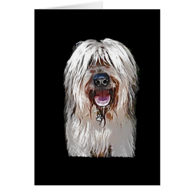 Smiling Fawn Briard (Front)