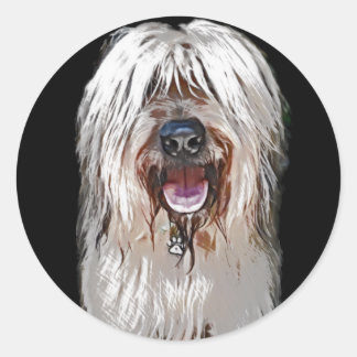 Smiling Fawn Briard Classic Round Sticker