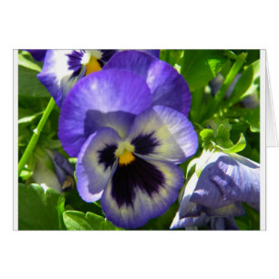 Smiling Flower