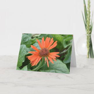 Smiling Flower Notecards (Blank Inside)