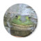 Smiling Frog Face