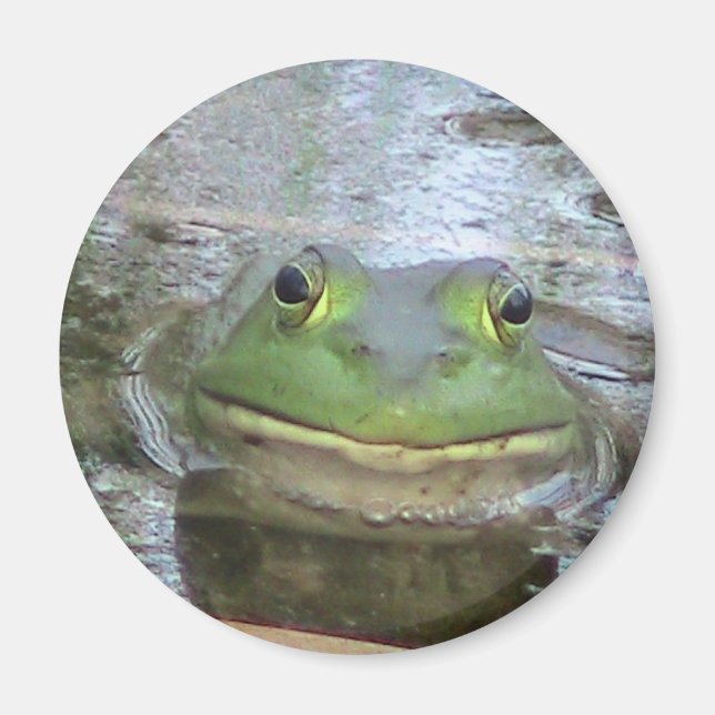Smiling Frog Face Magnet (Front)