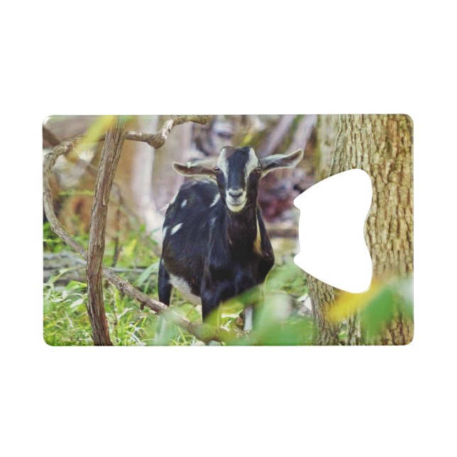 Smiling Goat (Front (Horizontal))
