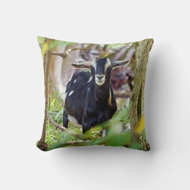 Smiling Goat Cushion (Front)