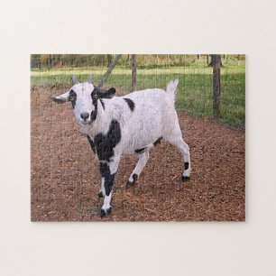 Smiling Goat Jigsaw Puzzle