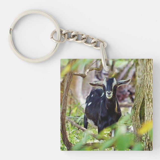 Smiling Goat Key Ring (Front)