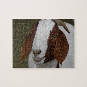 Smiling Goat Puzzle
