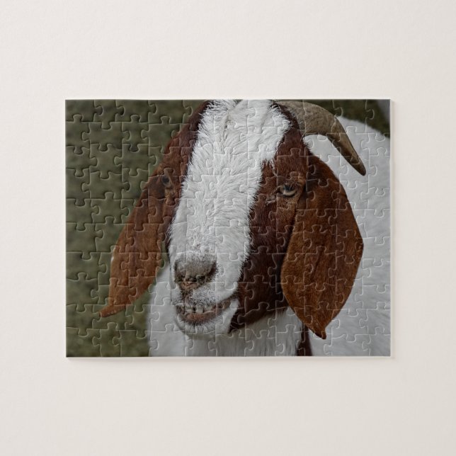 Smiling Goat Puzzle (Horizontal)