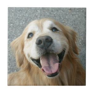 Smiling Golden Retriever Ceramic Tile