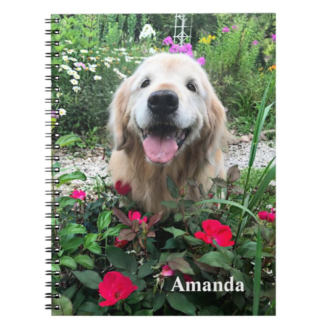 Smiling Golden Retriever Dog Among Red Flowers Notebook (Front)