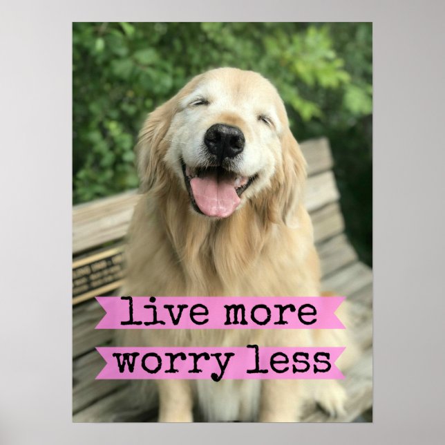 Smiling Golden Retriever Dog Live More Worry Less Poster (Front)