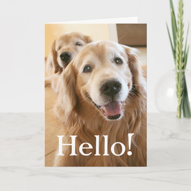 Smiling Golden Retriever Hello Card (Front)