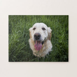 Smiling Golden Retriever Jigsaw Puzzle