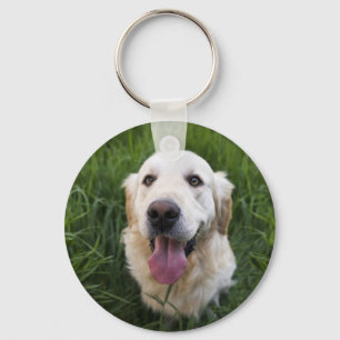 Smiling Golden Retriever  Key Ring