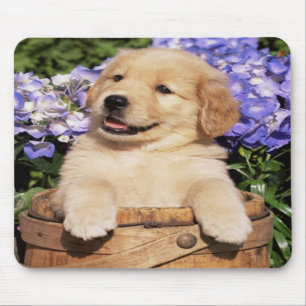 Smiling Golden Retriever Puppy Dog Mouse Pad