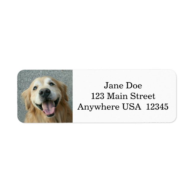 Smiling Golden Retriever Return Address Label (Front)