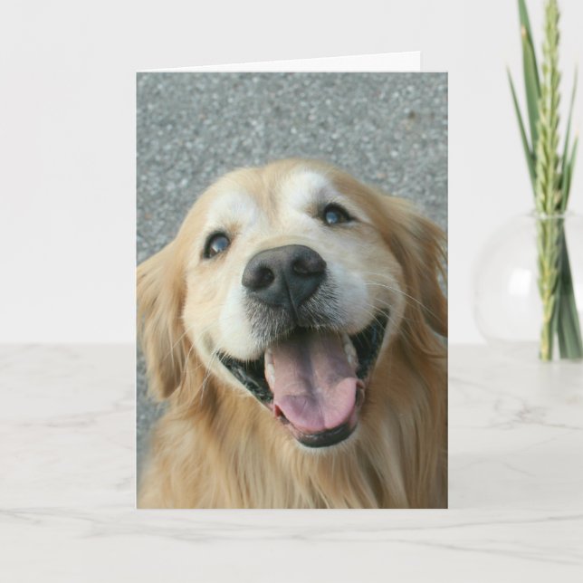 Smiling Golden Retriever Thank You (Front)