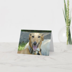 Smiling greyhound card