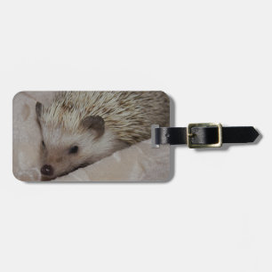 Smiling Hedgehog Luggage Tag