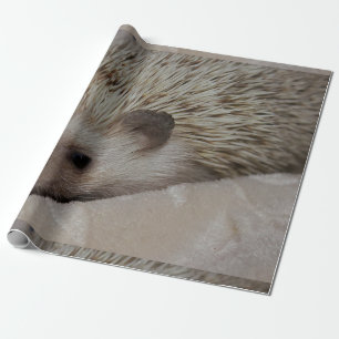 Smiling Hedgehog Wrapping Paper