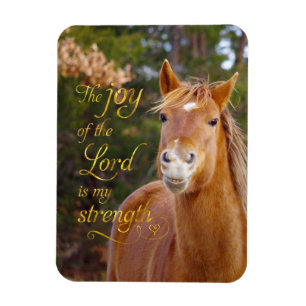 Smiling Horse Bible Quote Photo Magnet