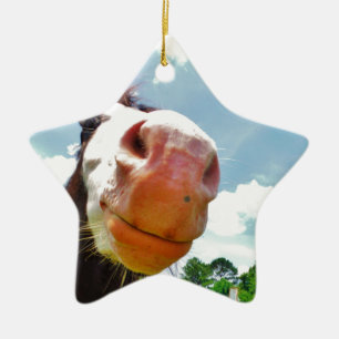Smiling Horse Ceramic Ornament
