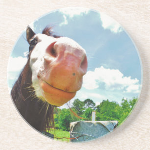 Smiling Horse Coaster