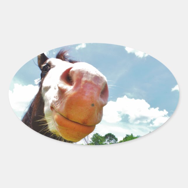 Smiling Horse Oval Sticker (Front)