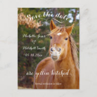 Smiling Horse Save the Date Postcards