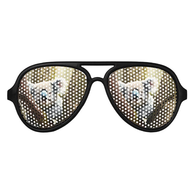 Smiling Koala Bear In Tree, Party Sunglasses (Front)