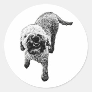 Smiling Lagotto Sticker – Goofy Dog Energy