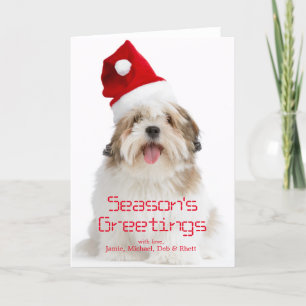 Smiling Lhasa Apso Dog Wearing Santa Hat Holiday Card