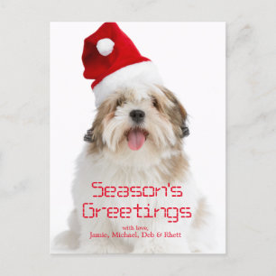 Smiling Lhasa Apso Dog Wearing Santa Hat Holiday Postcard