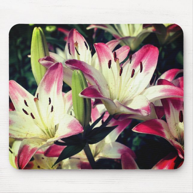 Smiling Lily Flowers Mouse Pad (Front)